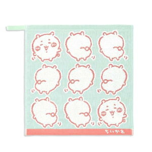 (Chiikawa) CG[ EHbV^I O[  [vt K[[pC 41-1231090 34×35 