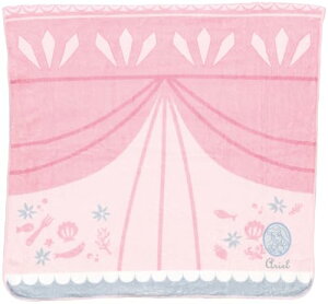 XP[^[(Skater) z  oX^I c60×120cm fBYj[ vZX AG TODR1 