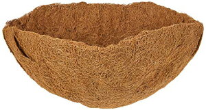 ^JV[ V}bg(wb_[)nMOoXPbg 25cmp 