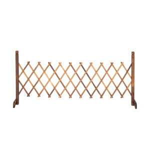 cR[|[V(Takeda corporation) ytFXEeBXE_EQ[gEz (yʃRpNg) Đ AR[ 