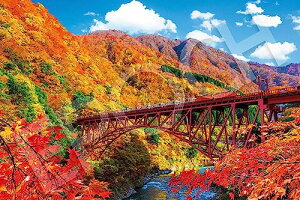 G|bN 1000s[X WO\[pY {i H̍JƃgbRdԁ[xR (50×75cm) 09-053s ̂t 