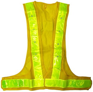 ~YPC ~c LEDxXg LOTCY bV 5916516 