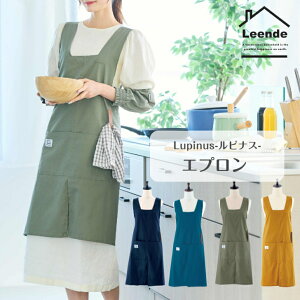 Gv Ԃ邾 @\ Jt   萶n ֗ X}z|Pbg ^Iz_[ J[L u[ lCr[ CG[ Lupinus siX Leende Gf z  