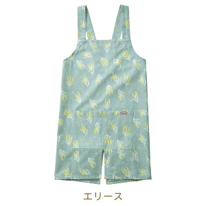 ~gt Gv  킢 JWA Ch100% kfUC Gv ̌^ ֗  ϔM Ԃ邾 EȒP ~g 킢  lp |Pbgt ob