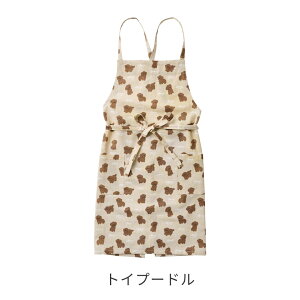 Gv  킢 Ch100 L  lR Ck  v[h t`u ViEU[  Hו  낢 fUC fB[X lp k O N