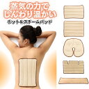 ホット＆スチームパッド 特殊セラミックビーズ 温熱 蒸気 カビない 丸洗いOK 電子レンジ くりかえし使える お腹 腰 背…