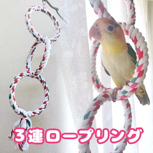 fuu 3A[vO ݂艺 p[` ~܂   ^s XgX