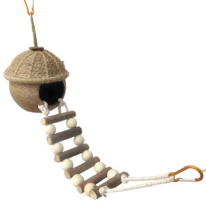 fuu ͂tRRibcnEX    Ƃ܂ Vя xݏ B ނ ݂艺 VRf