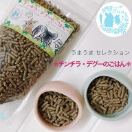 fuu うまうまセレクション チンチラ・デグーのごはん 小動物 ペレット えさ おやつ 国産 ドライフード ハ…