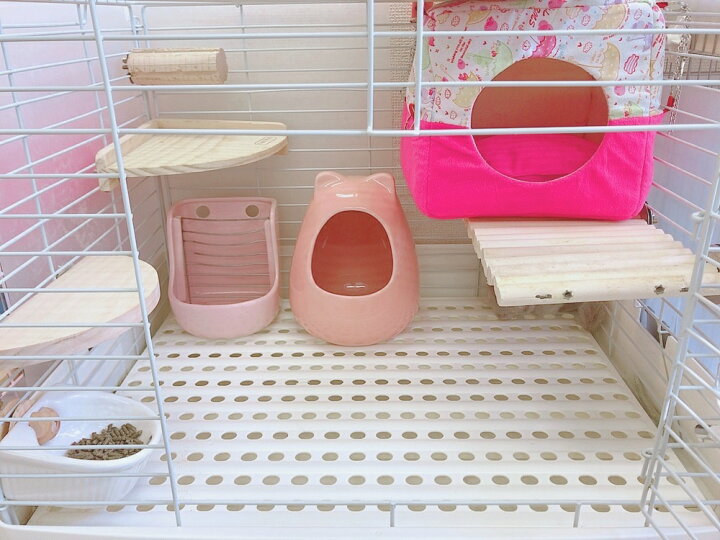 楽天市場 陶器のチモシーポッド うさぎ チンチラ デグー モルモット 小動物 陶器 牧草 エサ入れ えさ かわいい Shop Fuu 楽天市場 陶器のチモシーポッド うさぎ チンチラ デグー モルモット 小動物 陶器 牧草 エサ入れ えさ かわいい Shop Fuu