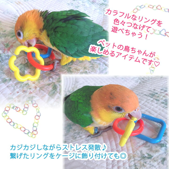 fuu 鳥のおもちゃ カラフルプラりんぐ 【8個入り】 小鳥 オモチャ バードトイ 止まり木 輪っか shop fuu