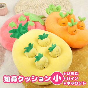 fuu 知育クッション 小サイズ 4個タイプ 知育玩具 ペット用品 犬 おもちゃ ノーズワーク おやつ隠し 分離不安対策 嗅覚訓練 早食い対策 ストレス解消 運動不足