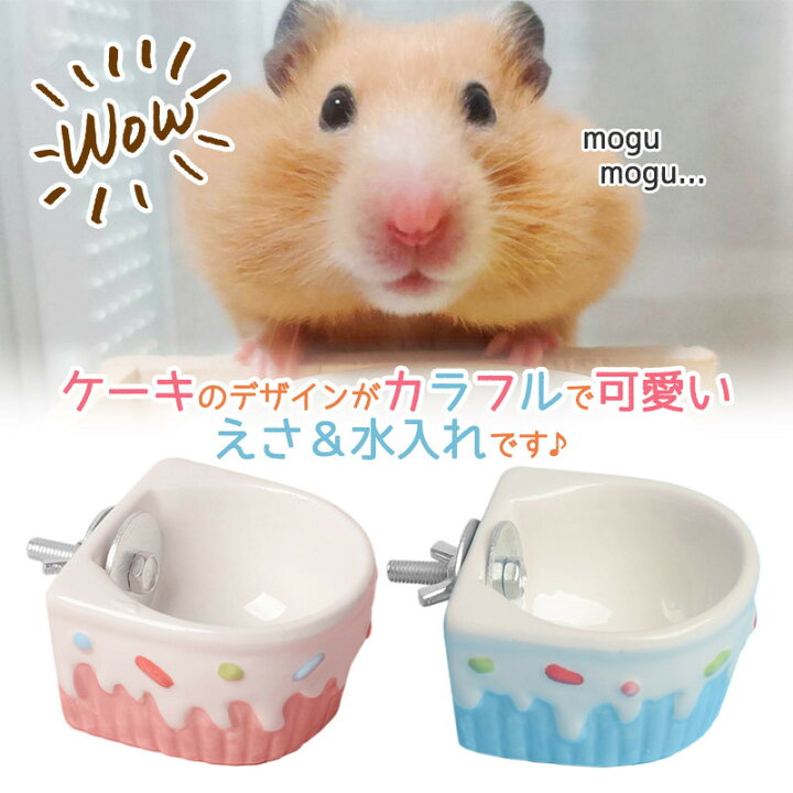 Sale 陶器のえさ入れ ケーキ 金具付き 水入れ 小動物 小鳥 食器 固定 ハムスター うさぎ モモンガ Fuu ピンク Glm Co Il