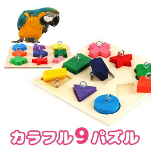 fuu ̒m炨 Jt9pY  mߋ ނ ؐ ubN Pp Vїp o[hgC CR IE