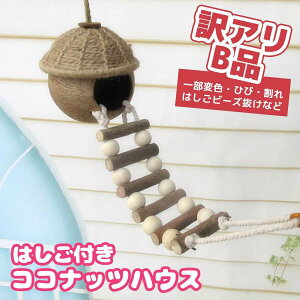 yABizfuu ͂tRRibcnEX    Ƃ܂ Vя xݏ B ނ ݂艺 VRf