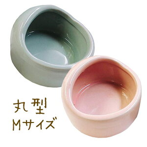 fuu p ̂ n ی^ MTCY H t[h{E M  ې  `` fO[ nX^[  K 