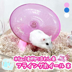 fuu ̂܂킵 tCOzC[ ~ՌXΌ^ 炩 É Â    ^s XgXU nX^[