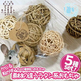fuu 小動物のおもちゃ 素材の違うラタン系おもちゃ5点セット NEW 噛むおもちゃ 転がす かじる 天然素材 小鳥 インコ デグー うさぎ モルモット ハムスター