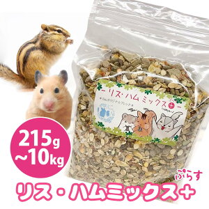 fuu ܂܃ZNV Xn~bNXvX p t[h ͂  G  oXH X nX^[ K