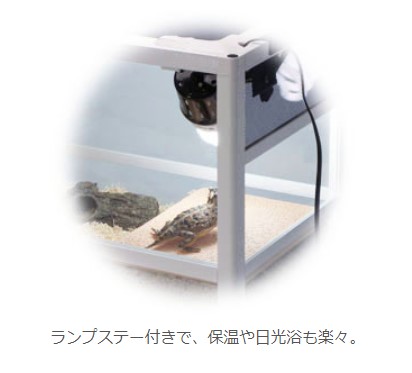 楽天市場】三晃商会 SANKO パンテオン ブラック BK6035 組立式 ガラス