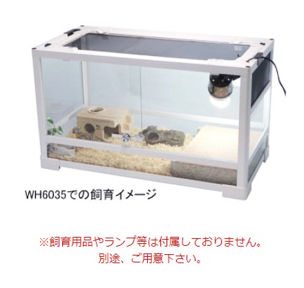 楽天市場】三晃商会 SANKO パンテオン ホワイト WH6045 組立式 ガラス 