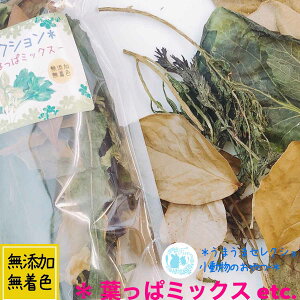 fuu ܂܃ZNV ͂σ~bNX Y F Y  p   `` bg fO[ nX^[