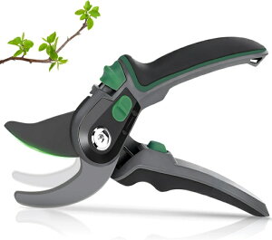 oT~  ΂ 2iK߉\ SK85Yf| A~ }؂oT~ |nT~ |p͂ Kтɂ yʉA~nh ₷ ʎ  ~ 뉀 K[f