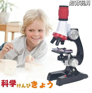  \ }CNXR[v qp Ȋw wK ߋ ċx ~x h iB 100 400 1200i{j q w qǂ ǂ LbY WjA R т傤 a 5 j j̎q N