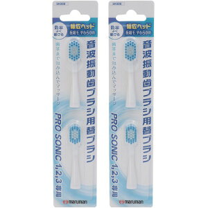 }} gUuVp ւuV2{ 2{Zbg Lwbh ɍזу^Cv DK005 lR|X֑Ήi