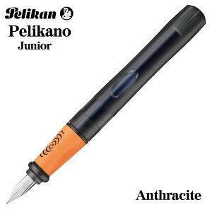 yJ yJ[mWjA LbYp NM {fBJ[ AZTCg Mtg v[g wj LOi