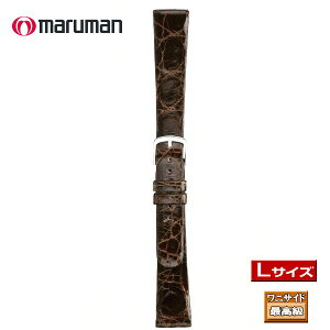 }} LTCY xg vxg voh {jTCh vە 19mm  14mm  ol_2{t lR|X֑Ήi