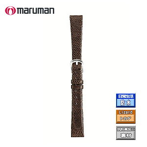 時計ベルト 時計バンド 革バンド レディス リザード トカゲ 茶 ブラウン 時計際幅 11mm 美錠幅 9mm 抗菌防臭加工 バネ棒2本付き ネコポス便対応品