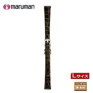 Lサイズ 寸長ベルト 時計ベルト 時計バンド 革バンド 本ワニサイド 時計際幅 12mm 美錠幅 9mm 茶 バネ棒2本付き 簡易交換工具付き ネコポス便対応品