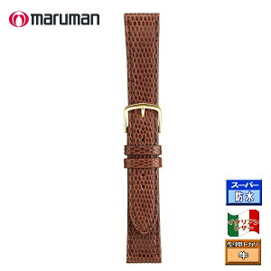 }} vxg voh voh vە 18mm  16mm ^gJQ  ol_2{t C^AU[ lR|X֑Ήi