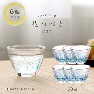  傱  y ԂÂ u ( CGT ) 6 z {  ۂ ~j OX  v[g Mtg a D  aH ƒp qp _ hV̓ ĂȂ 