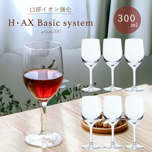  XeOX y HEAXx[VbNXe Xe300 6 z  COX KXH ze Xg HX ΒˏɎq p[eB Ɩp OX a v[g Mtg 