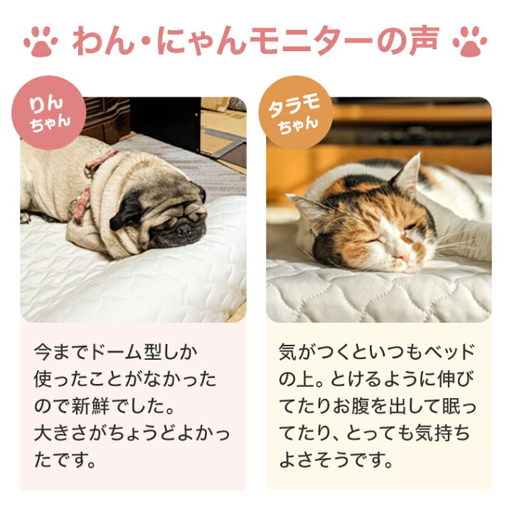 楽天市場】【送料無料】トゥルースリーパー ペットベッド正規品 低反発 