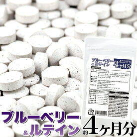 【LINE登録で300円クーポン】ブルーベリー＆ルテイン 送料無料 訳あり 健康食品 ギフト プレゼント サプリメント どっさり約4ヶ月分 120粒 天然生活 サプリ