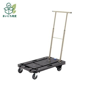 �i���V�� ��� �R���p�N�g�L�����[ CC-211K �u���b�N �L�����[�J�[�g