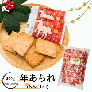 N ݂t 300g 110 ߔN 2026  َq N   x \x VN ׂ  ΂T