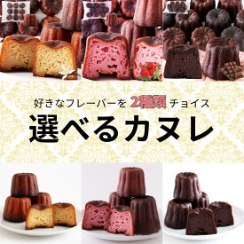 【3種から2種選べる】カヌレ 送料無料 冷凍スイーツ 食べ比べ 詰め合わせ ギフト お取り寄せ 各500g プレーン ストロベリー チョコ 天然生活 訳あり
