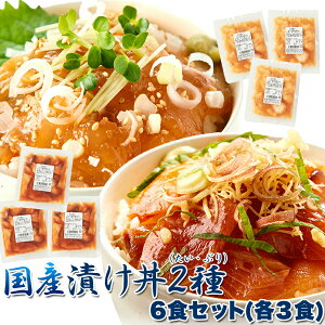 【LINE登録で300円クーポン】国産 漬け丼 2種 6食 セット 天然生活 海鮮丼 個食 パック 冷凍 時短 簡単調理 お取り寄せグルメ 送料無料