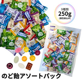 のど飴 アソート 9種類 個包装 詰め合わせ のどあめ 喉飴 ノンシュガー いろんな味 カラフルキャンディー 個包装 龍角散 ブルーベリー キシリクリスタル 飴 キシリトール カンロ飴 カンロ kanro はちみつきんかん