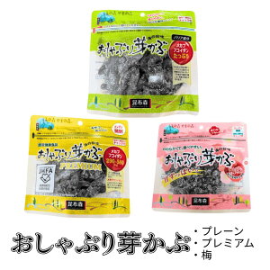 yLINEo^300~N[|zԂ肩  CN ܂  Mtg v[g 3lߍ킹 M[ v~A ~ ߂ Ԃ荩z Ԃ ܂ݍz