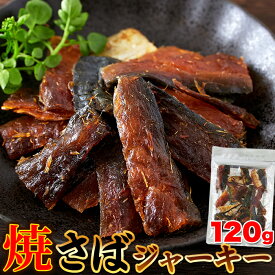 【LINE登録で300円クーポン】焼さばジャーキー 1000円ポッキリ 送料無料 訳あり 海鮮 おつまみ グルメ ギフト プレゼント (120g) 天然生活 おつまみ おやつ 鯖 魚介 珍味 酒の肴 常温 簡易包装