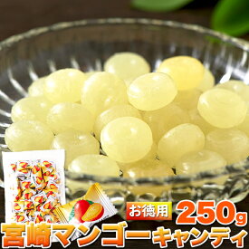 【LINE登録で300円クーポン】宮崎マンゴーキャンディ 送料無料 訳あり スイーツ スイーツ フルーツ ギフト プレゼント (250g) 天然生活 飴 マンゴーピューレ 着色料不使用 大容量 個包装 宮崎県産 フルーツ 国内製造 キャンディー