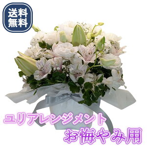 y12܂ł̒őz҃t[K[f   S   MTCY  AWg ܂ C    @ ~ ~  蕨 Mtg t