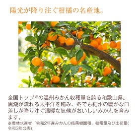 陽光が降り注ぐ柑橘の名産地