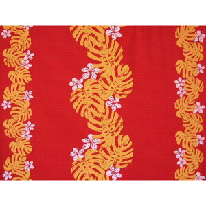 nCAt@ubN ȃ| (iHFR166)