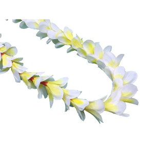 t_X@ vAC CG[(sԂł) iFL003